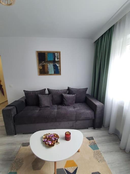 Apartament Ama Sibiu Exterior photo