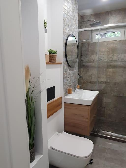 Apartament Ama Sibiu Exterior photo